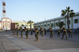 Tabla de combate realizada por la UFIB.