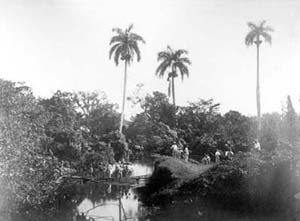 Insurrección en la manigua (Finales del siglo XIX)