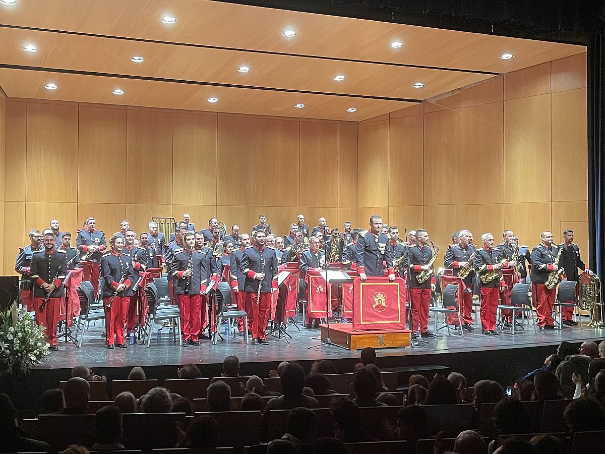 texto alternativo para ie 