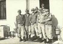 texto alternativo para ie 