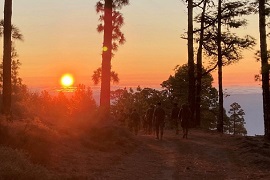 Instrucción RACA 93