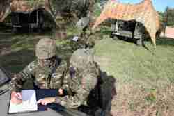 Actividades principales