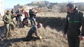 Suelta del águila real ibérica en la Base El Empecinado
