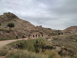 Marcha de endurecimiento del GMANTO II/41