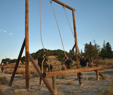 Circuito de capacidades volitivas