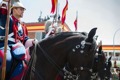 Actos del Día de las Fuerzas Armadas 2017 en Guadalajara