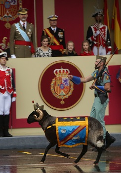 Día de la Fiesta Nacional 2016