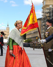 Día de las Fuerzas Armadas 2008