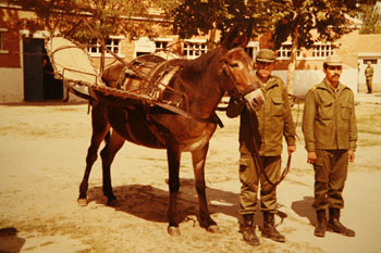 Fotografías históricas