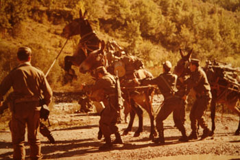 Fotografías históricas