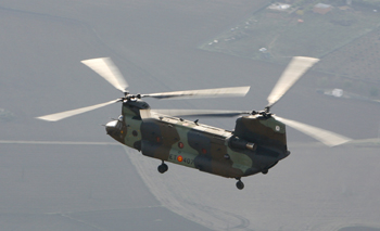 Ejercicio FAMET-BRIPAC-MAAA.Almagro.Noviembre 2008