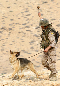 Ejercicios de integración de ASPFOR XXXIII (Pájara. Fuerteventura )