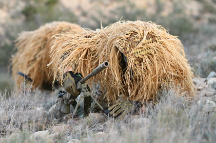 Mando de Operaciones Especiales