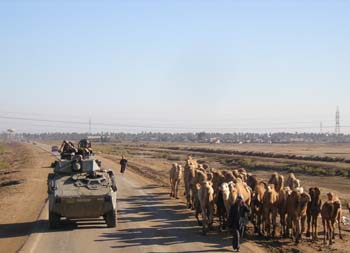 Brigada de Caballería "CASTILLEJOS"