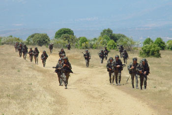 Brigada Paracaidista