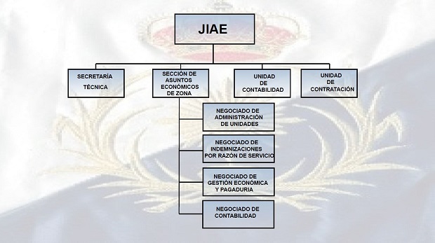 organizacion jiae