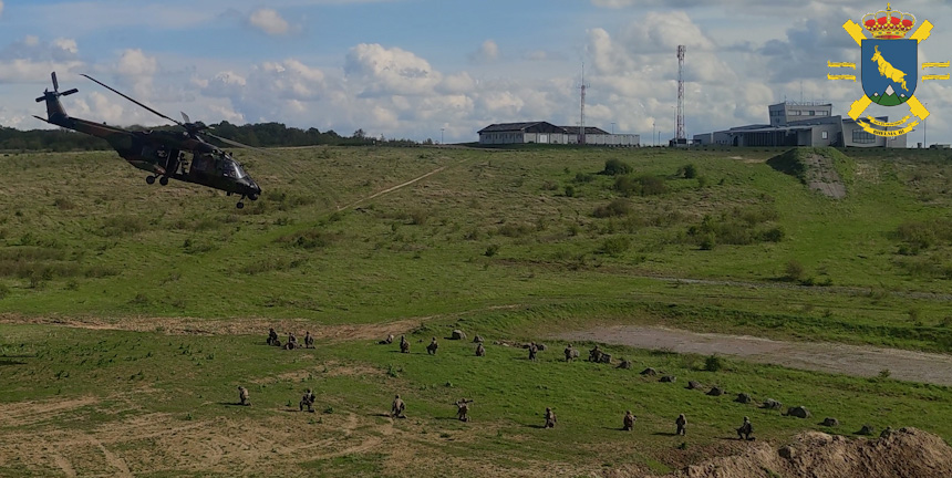 Fuerzas Aeromóviles del Ejército de Tierra