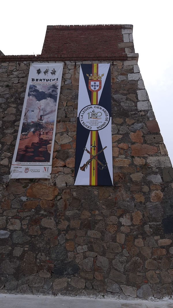 texto alternativo para ie 