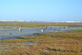 Zona de fango de la prueba (Foto:CEFOT 2)