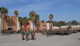 Desfile ante el Coronel Director (Foto:CEFOT 2)