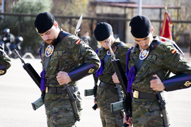 Escuadra de gastadores BZ X.