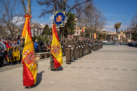 Banderas en formación