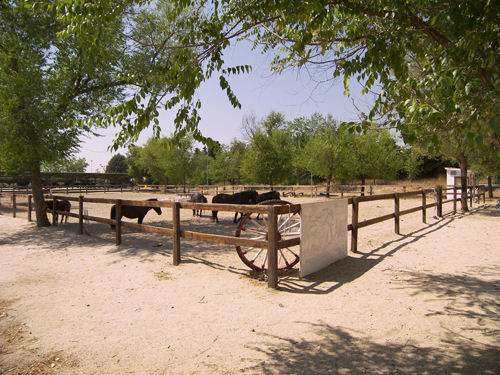 poniclub pista grande