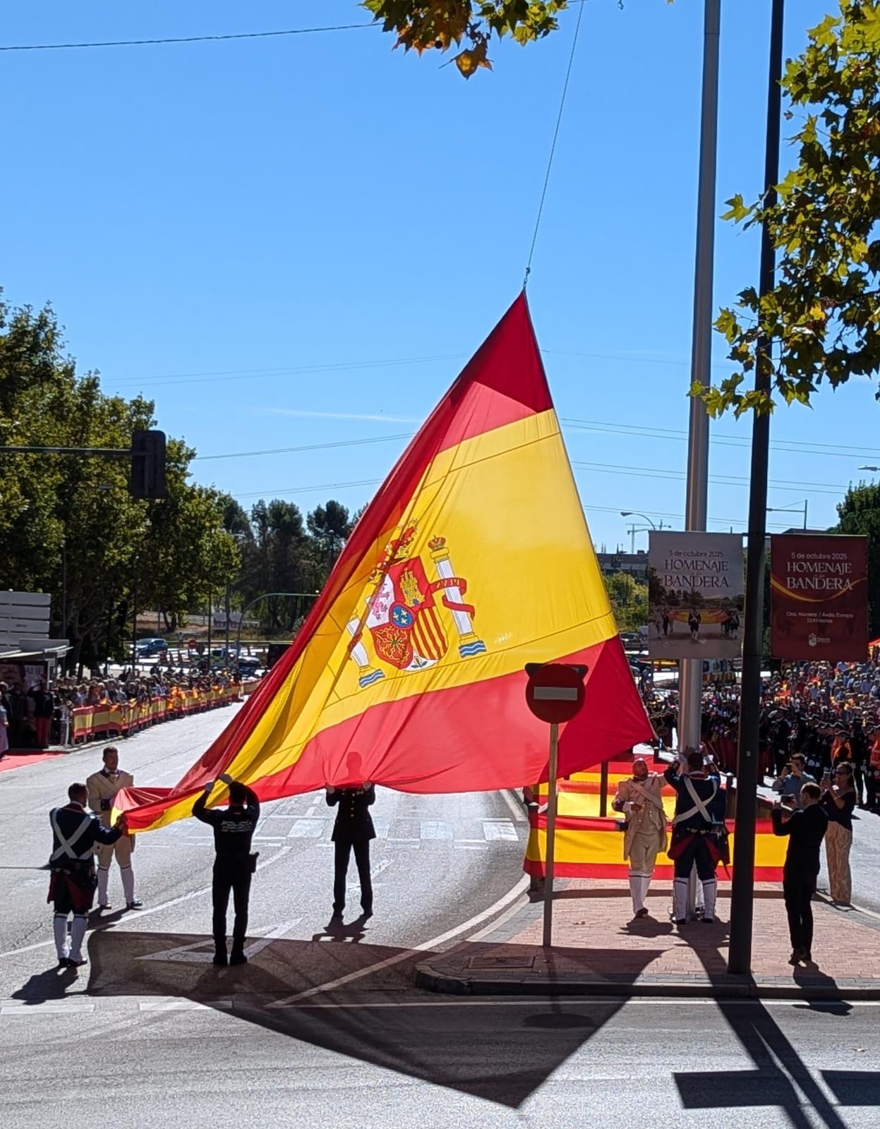 texto alternativo para ie 