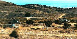 Despliegue de unidades en el campo de maniobras 