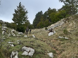 Cazadores del RICZM 66.