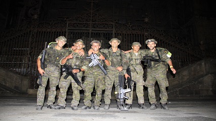 Grupo Logístico VII