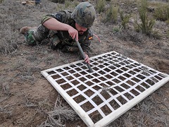 Instruccion de desminado