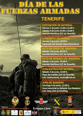 Actos Día de las Fuerzas Armadas