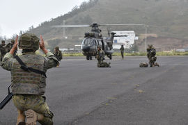 Prácticas de desembarque