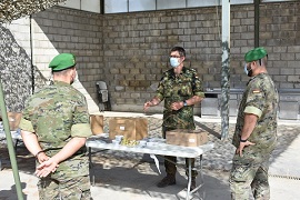 Apoyo al Ejército Alemán